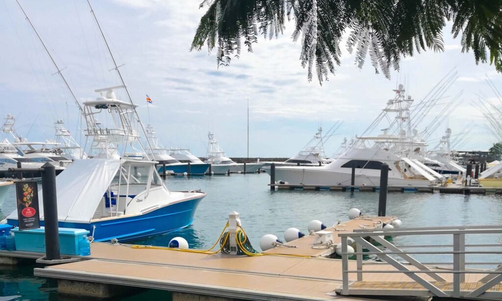 A marina with a lot of yachts and boats on a beautiful day.